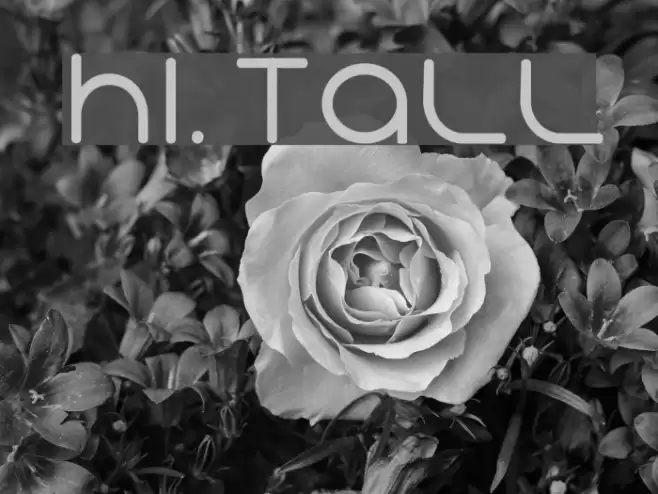 Hi. Tall Font examples