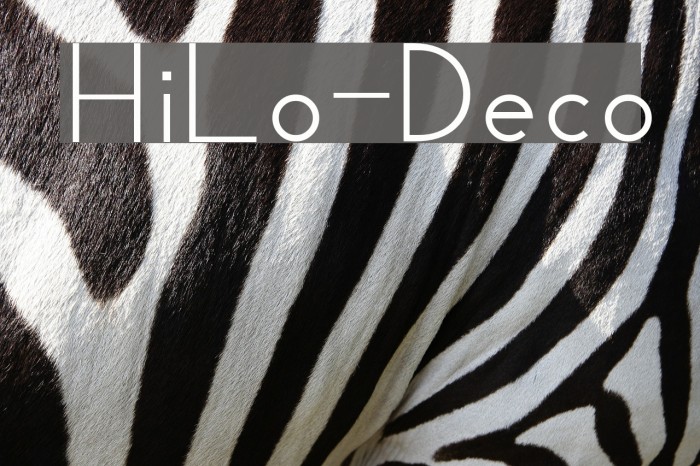 HiLo-Deco Example 2