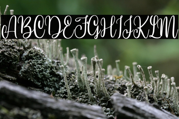 HiVirginia Example 2