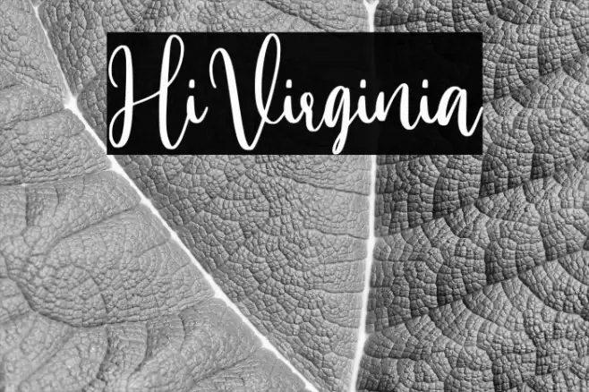 HiVirginia Font examples