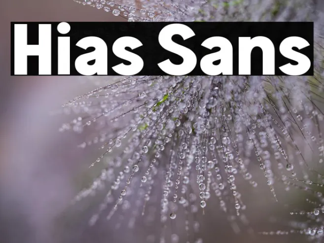 Hias Sans Example 3