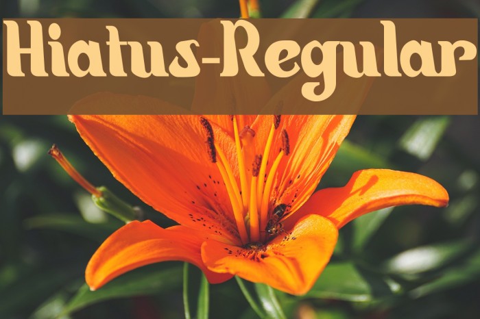 Hiatus-Regular Example 1