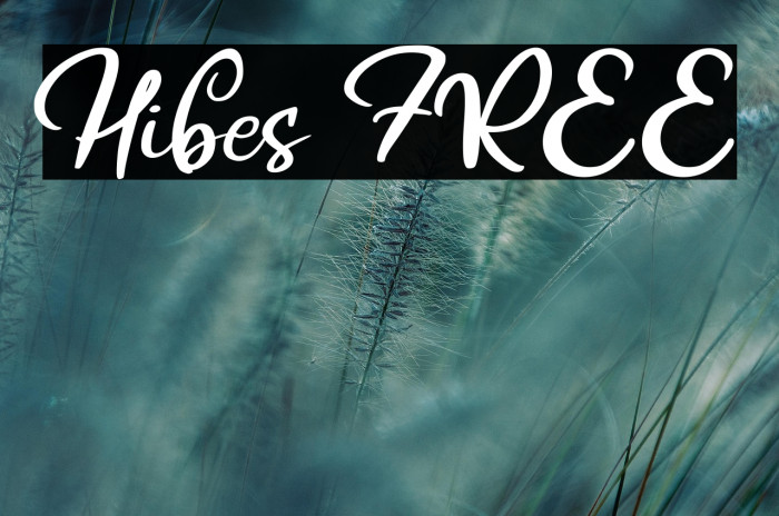 Hibes FREE Example 2