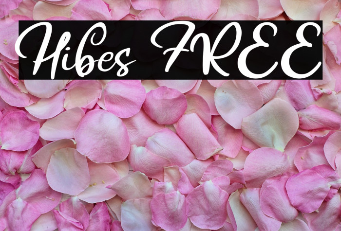 Hibes FREE Example 3