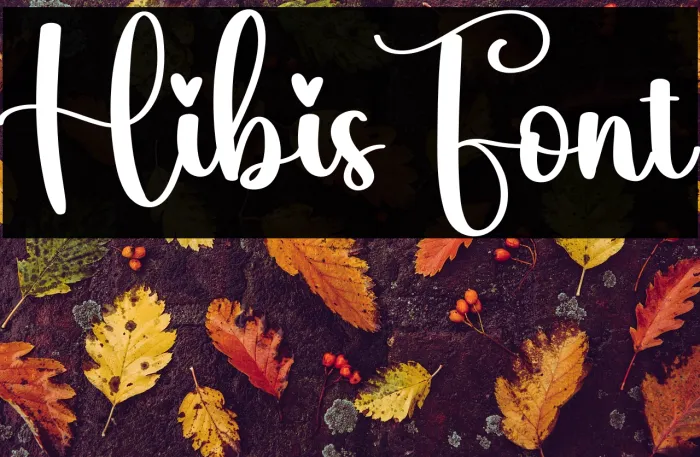 Hibis Example 2