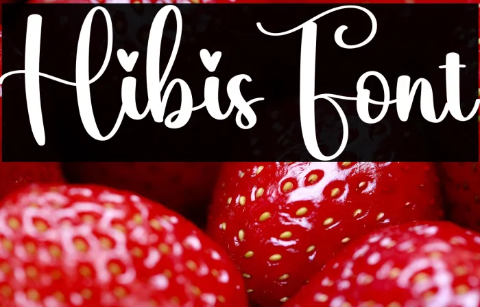 Hibis Example 3