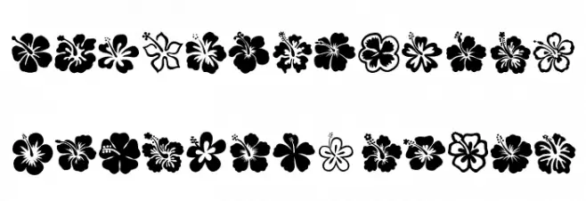 Hibiscus 字体 大写