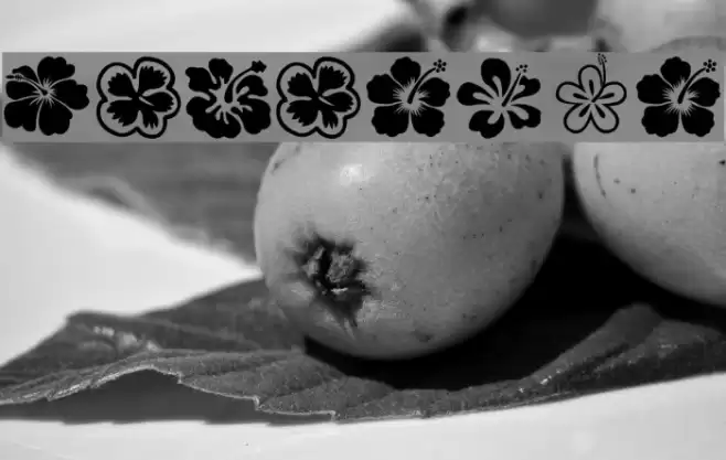 Hibiscus Font examples