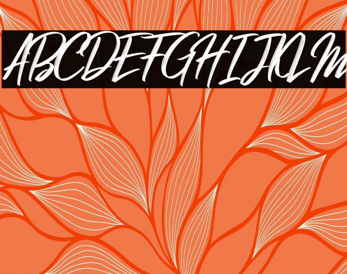 Hibrush DEMO Example 2