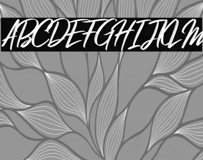 Hibrush DEMO Font examples