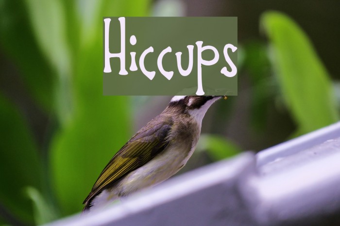 Hiccups Font examples