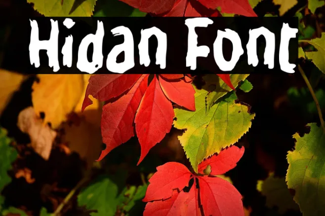 Hidan Example 1