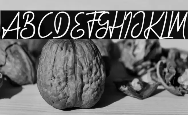 Hidario Шрифта examples