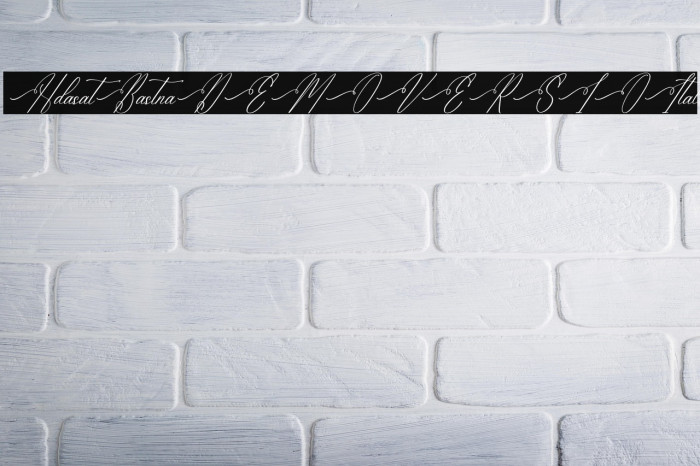 Hidasatie Bastirona DEMO VERSIO Italic Example 2