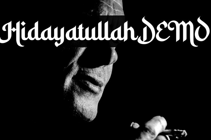 Hidayatullah DEMO Example 1