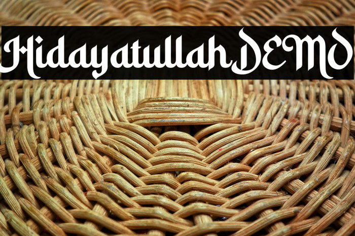 Hidayatullah DEMO Example 3