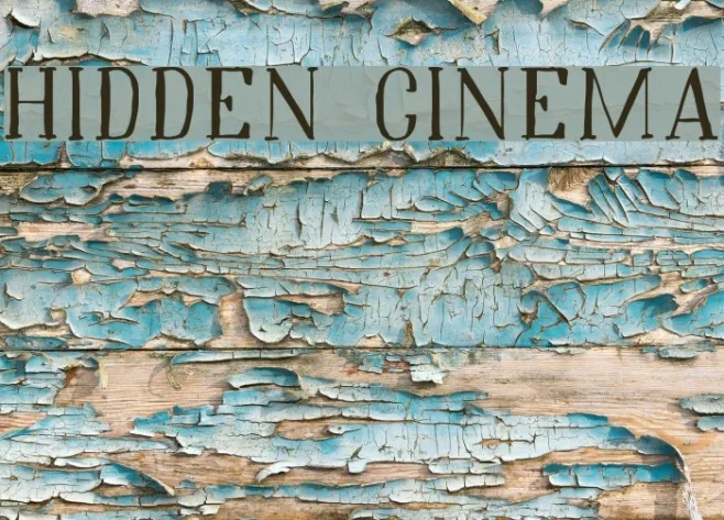 Hidden Cinema Example 3