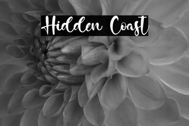 Hidden Coast Font examples