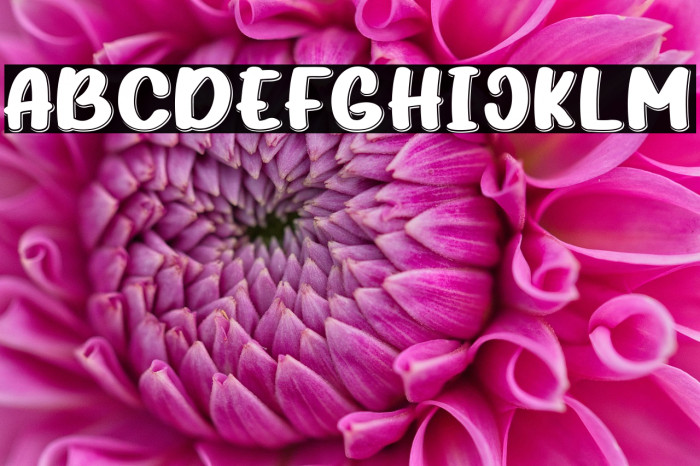 Hidden Cocktails-Regular Shadow Example 3