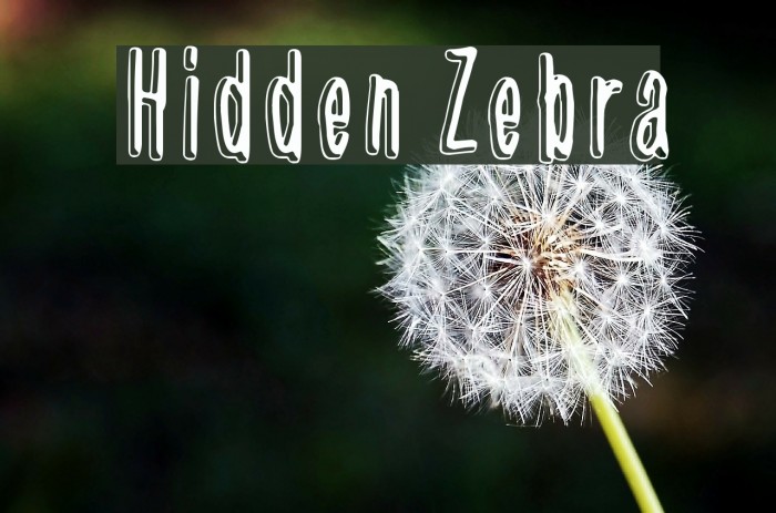 Hidden Zebra Font examples