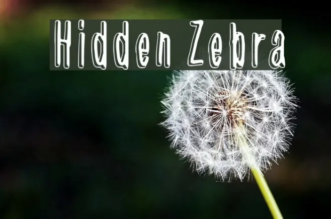 Hidden Zebra Example 3