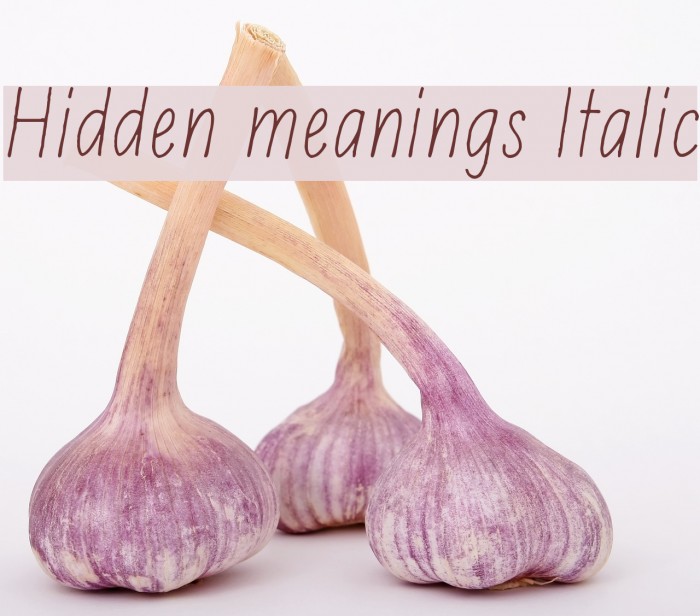 Hidden meanings Italic Font examples