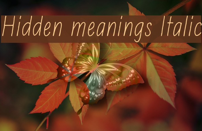 Hidden meanings Italic Font examples
