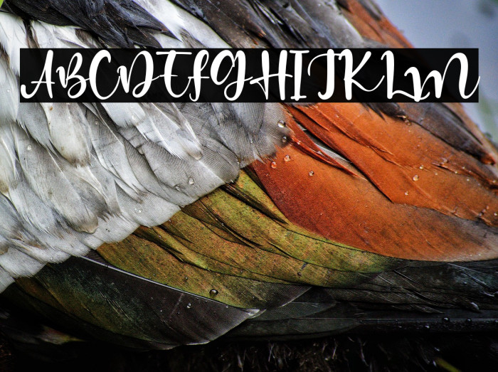 HiddenCoast Example 1