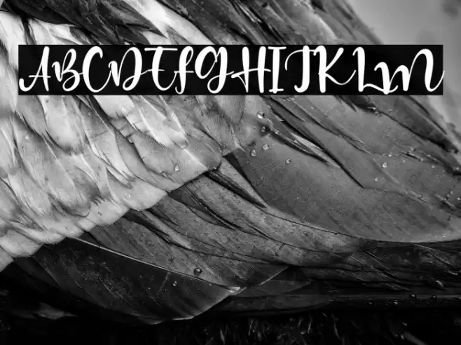 HiddenCoast Font examples