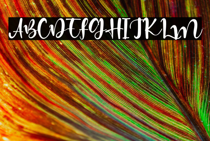 HiddenCoast Example 2