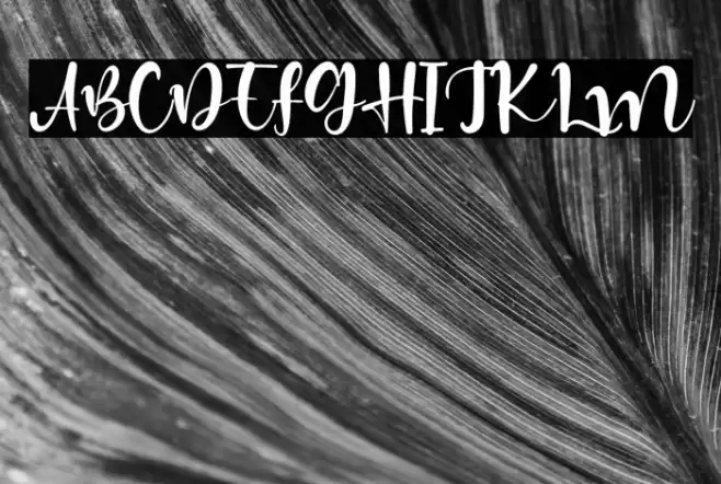 HiddenCoast Font examples