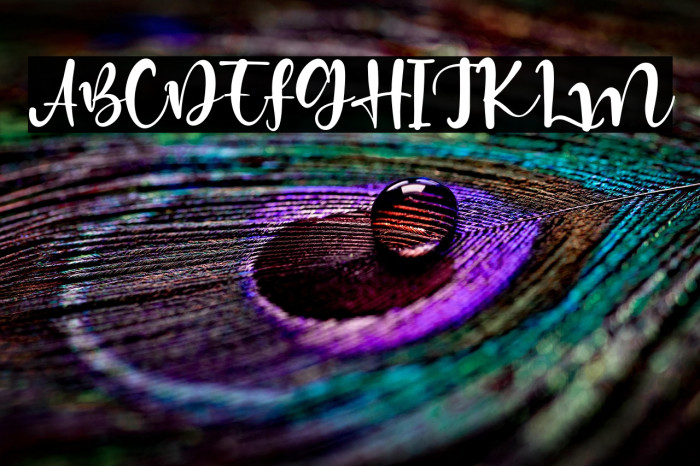 HiddenCoast Example 3