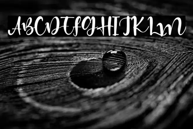 HiddenCoast Font examples