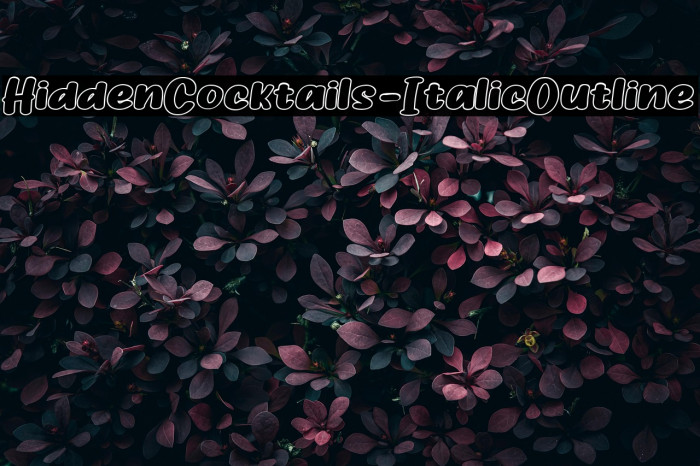 HiddenCocktails-ItalicOutline Example 1