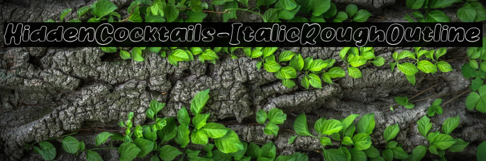 HiddenCocktails-ItalicRoughOutline Example 1