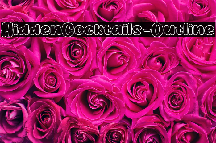 HiddenCocktails-Outline Example 3