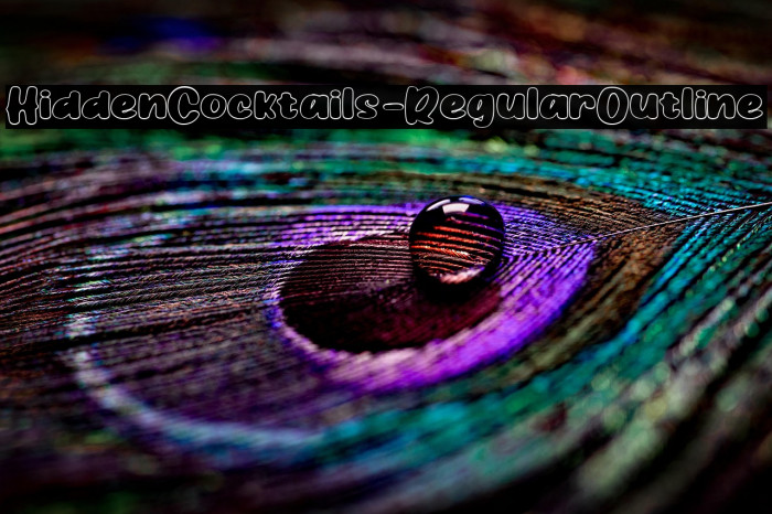 HiddenCocktails-RegularOutline Example 2