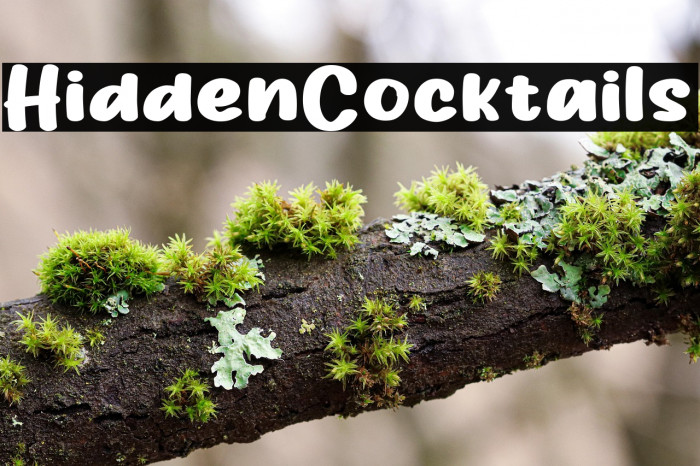 HiddenCocktails Example 3