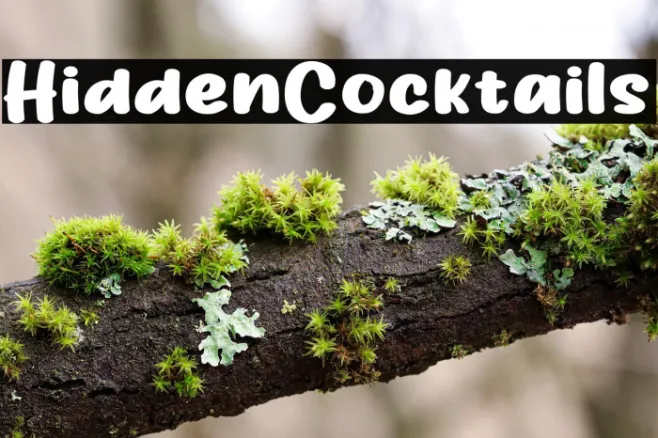 HiddenCocktails Example 3