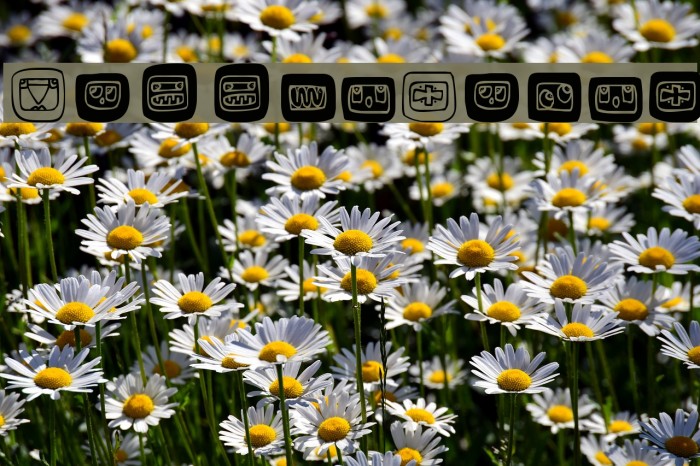 HiddenSigns Example 3