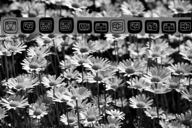 HiddenSigns Font examples