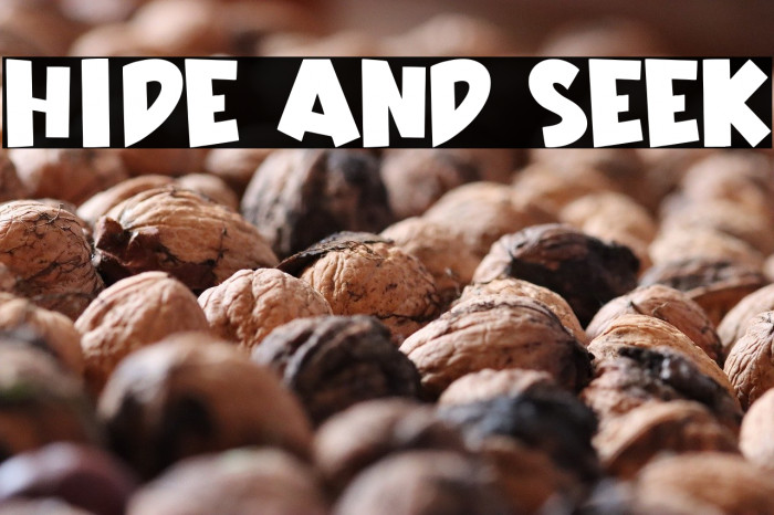 Hide And Seek Example 1