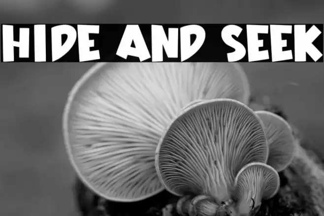 Hide And Seek Font examples