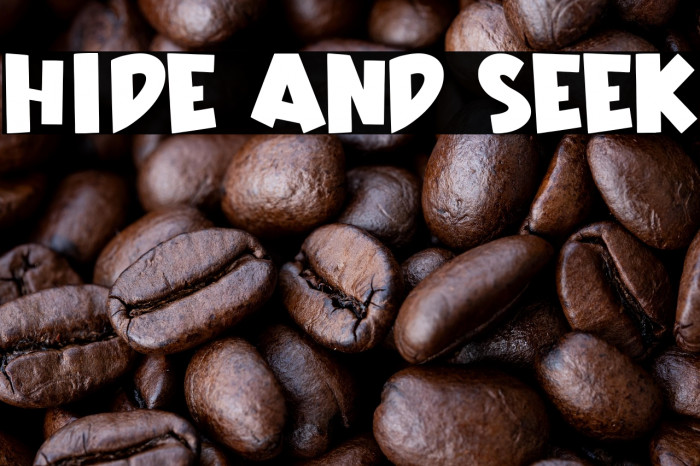 Hide And Seek Example 3