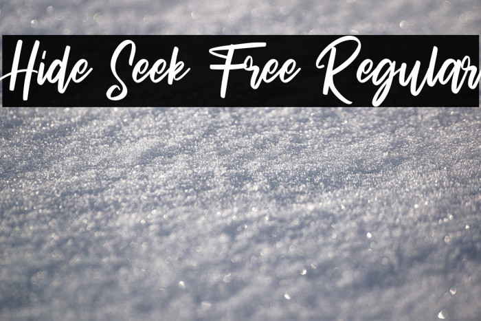 Hide Seek Free Regular Example 1