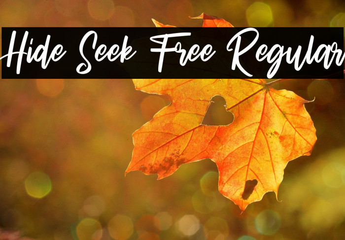 Hide Seek Free Regular Example 2