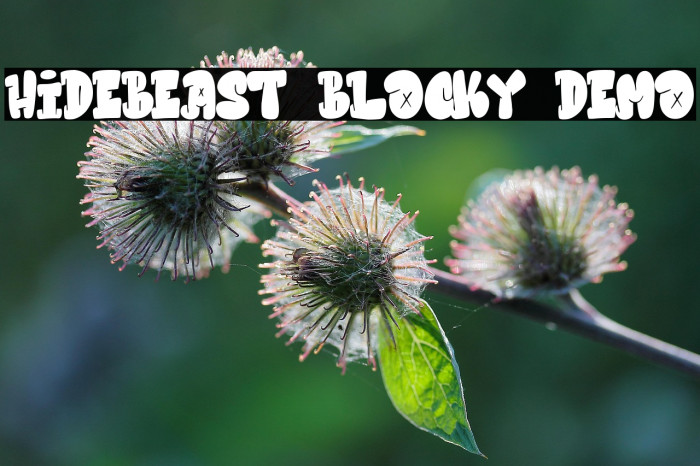 Hidebeast Blocky Demo Example 2