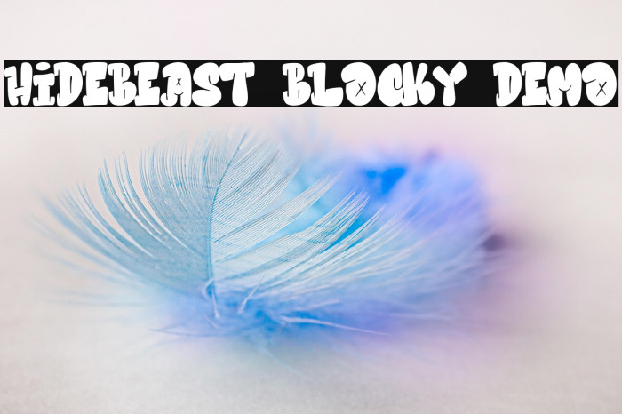 Hidebeast Blocky Demo Example 3