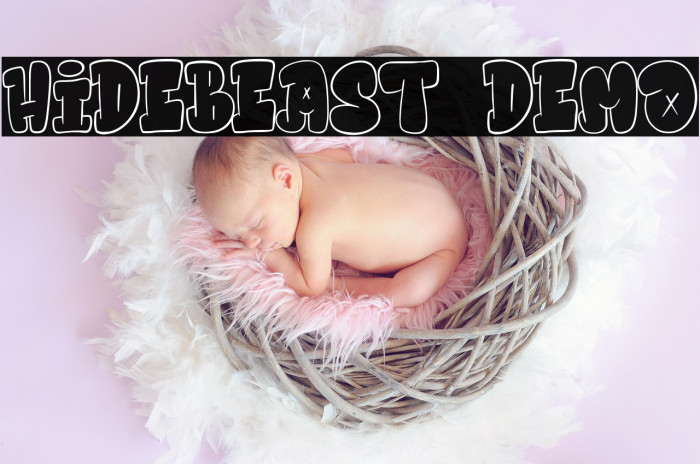 Hidebeast Demo Example 1