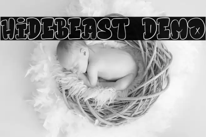 Hidebeast Demo Font examples